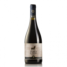 TORO-DEPIEDRA-CARIGNAN